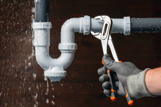 Professional Plumbing technician working in Lena, IL